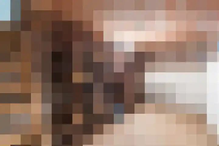 Trompstraat 38 Veghel thumbnail 30