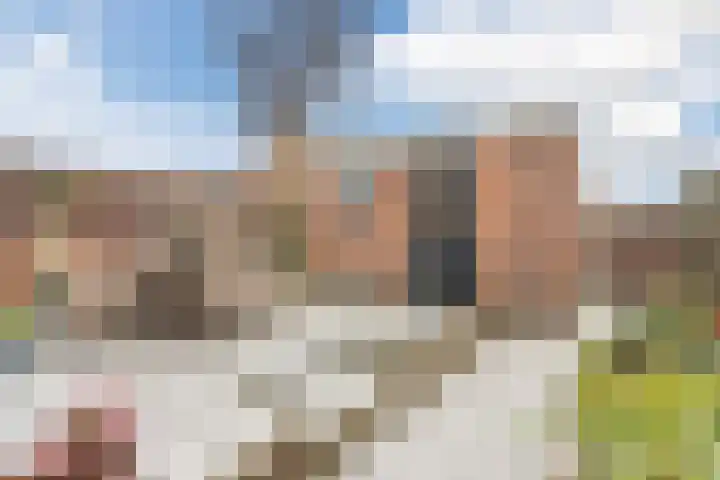 Trompstraat 38 Veghel thumbnail 31