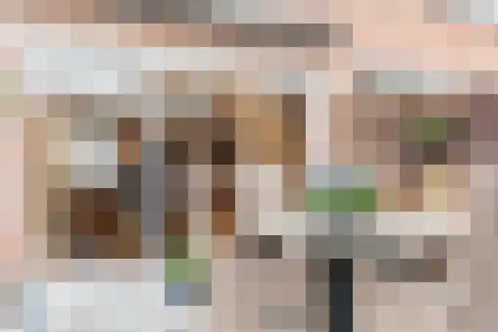 Trompstraat 38 Veghel thumbnail 33