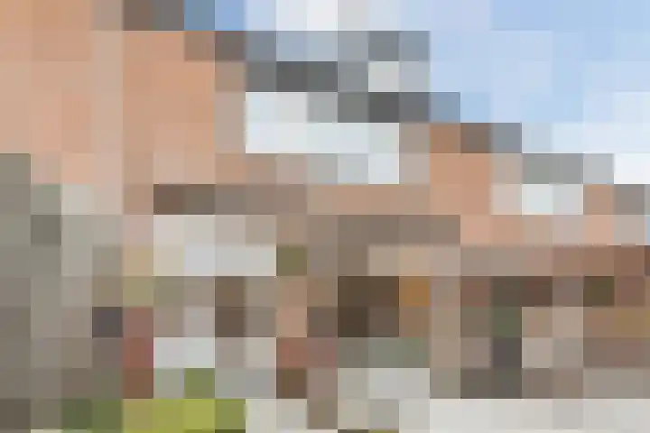 Trompstraat 38 Veghel thumbnail 35