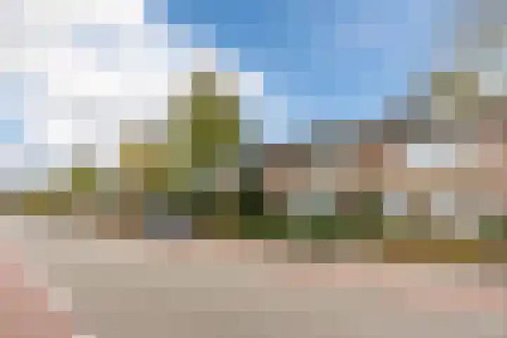 Trompstraat 38 Veghel thumbnail 36