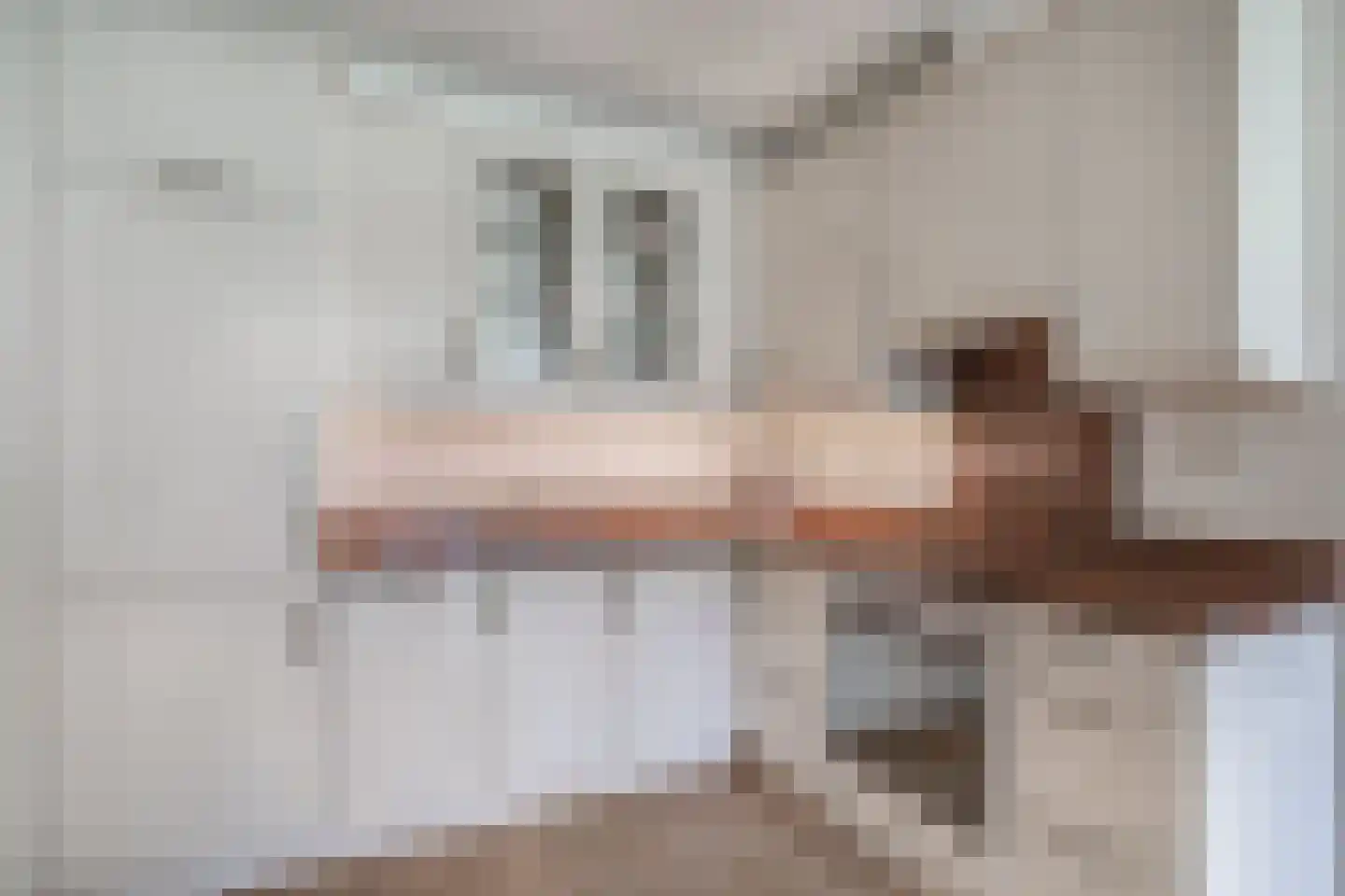 Trompstraat 4 a Huizen thumbnail 12