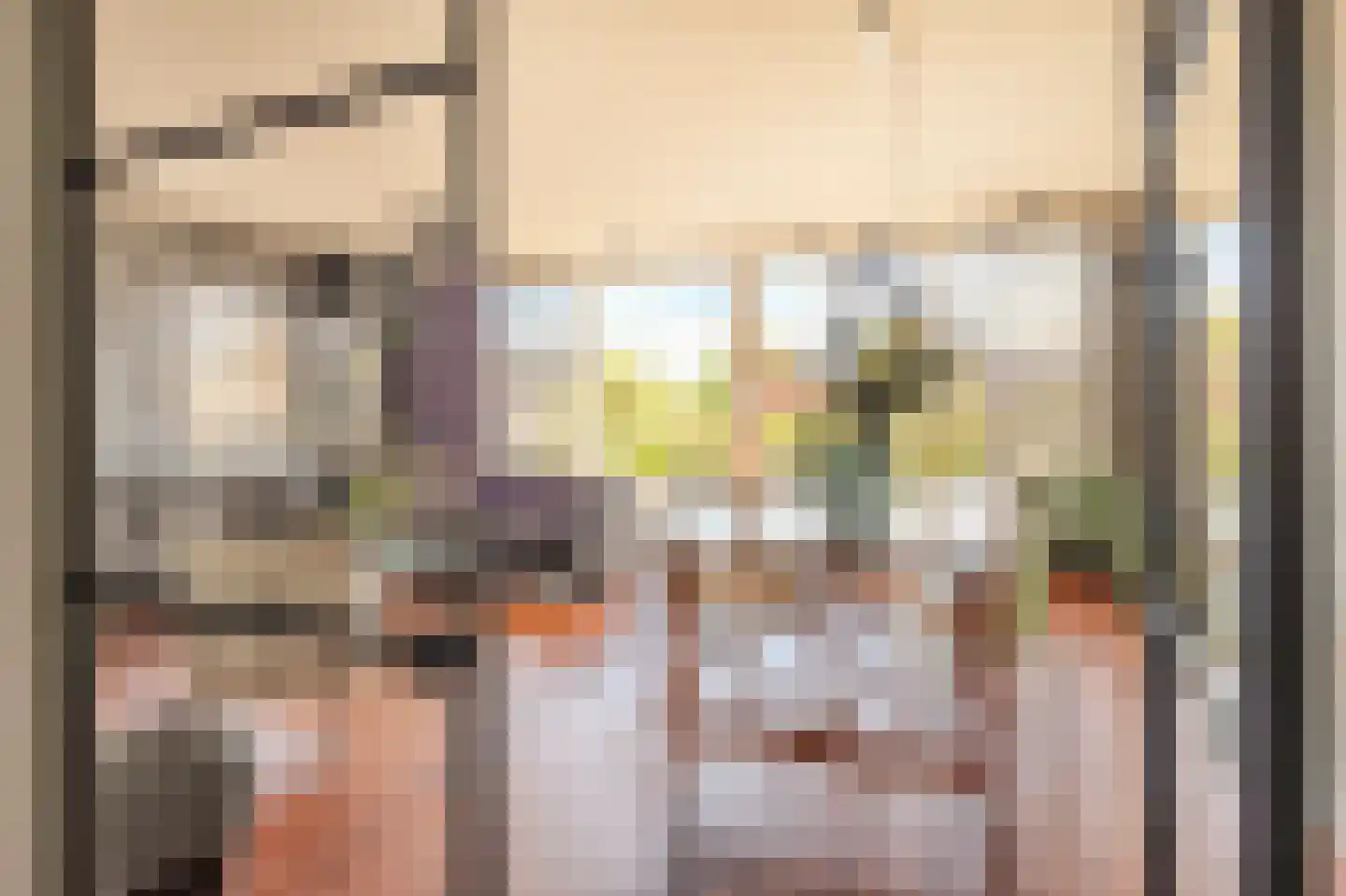 Trompstraat 4 Bleiswijk thumbnail 10