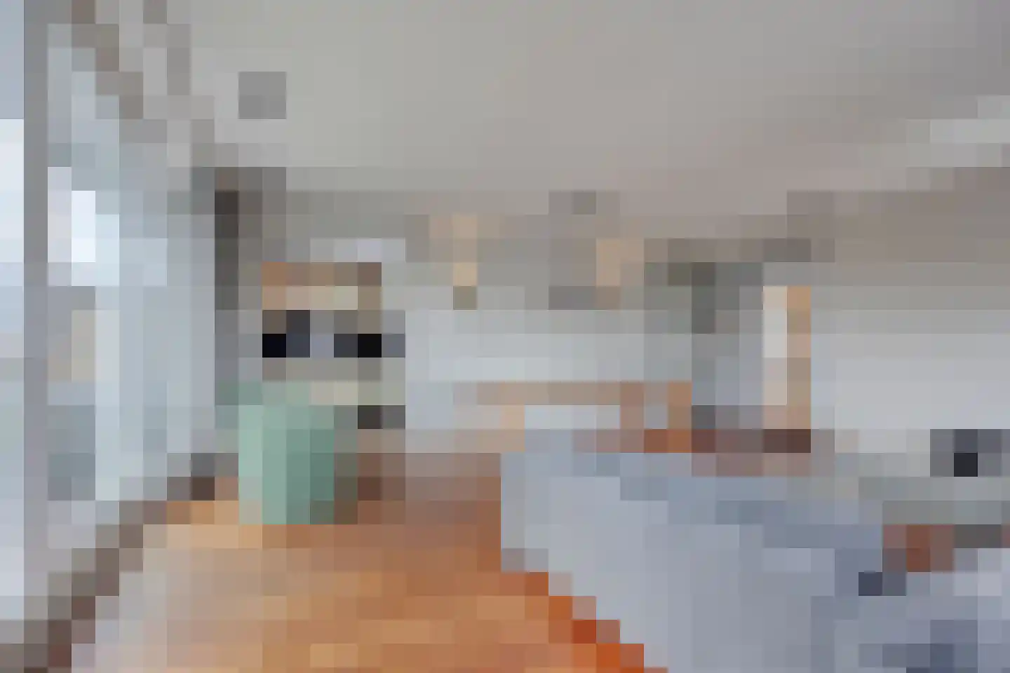 Trompstraat 4 Bleiswijk thumbnail 10