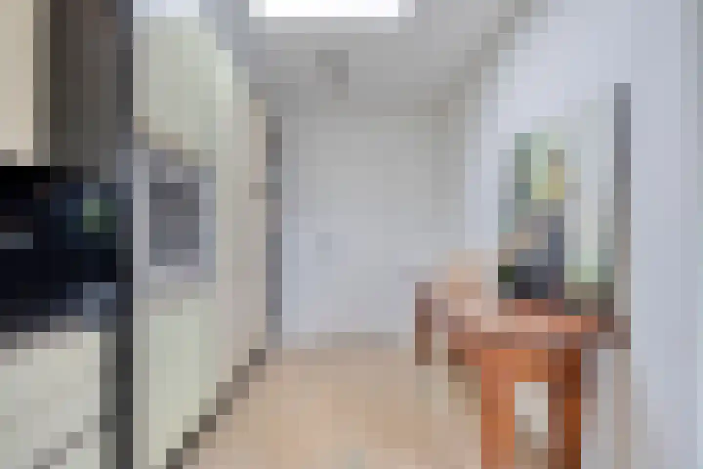 Trompstraat 4 Bleiswijk thumbnail 12