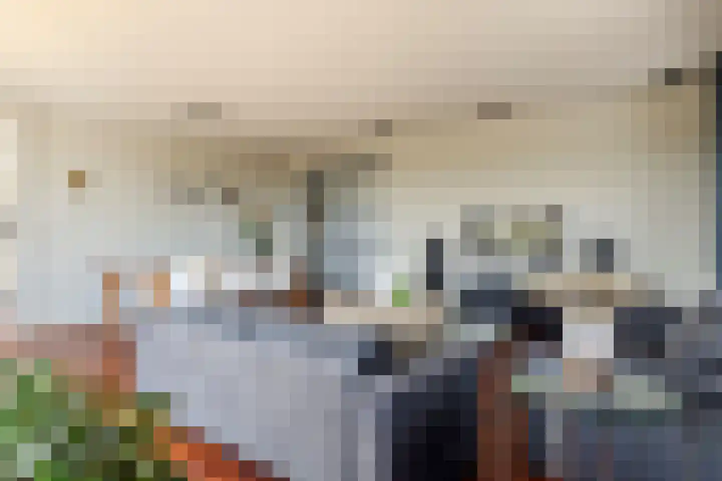 Trompstraat 4 Bleiswijk thumbnail 14