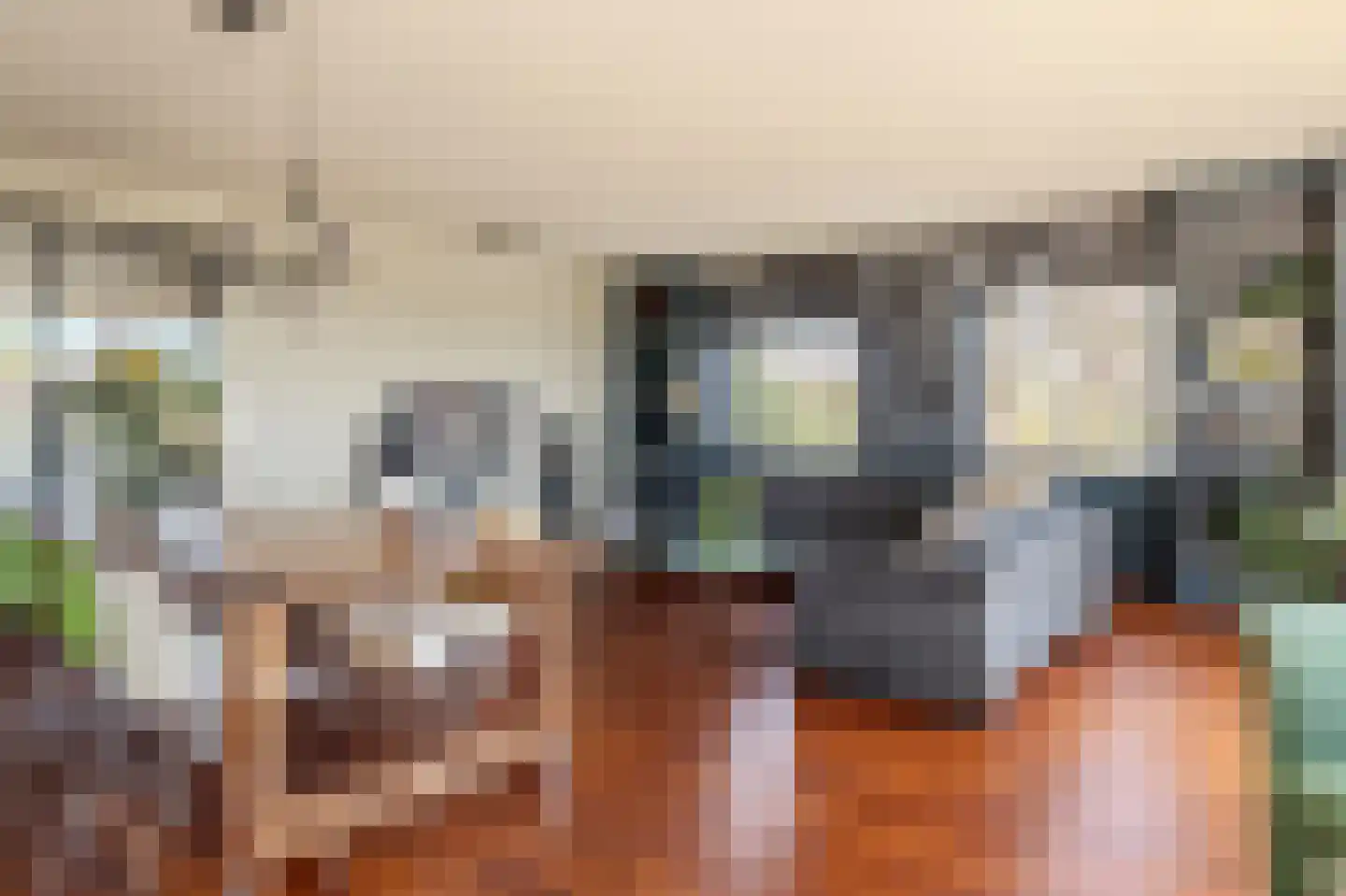 Trompstraat 4 Bleiswijk thumbnail 16
