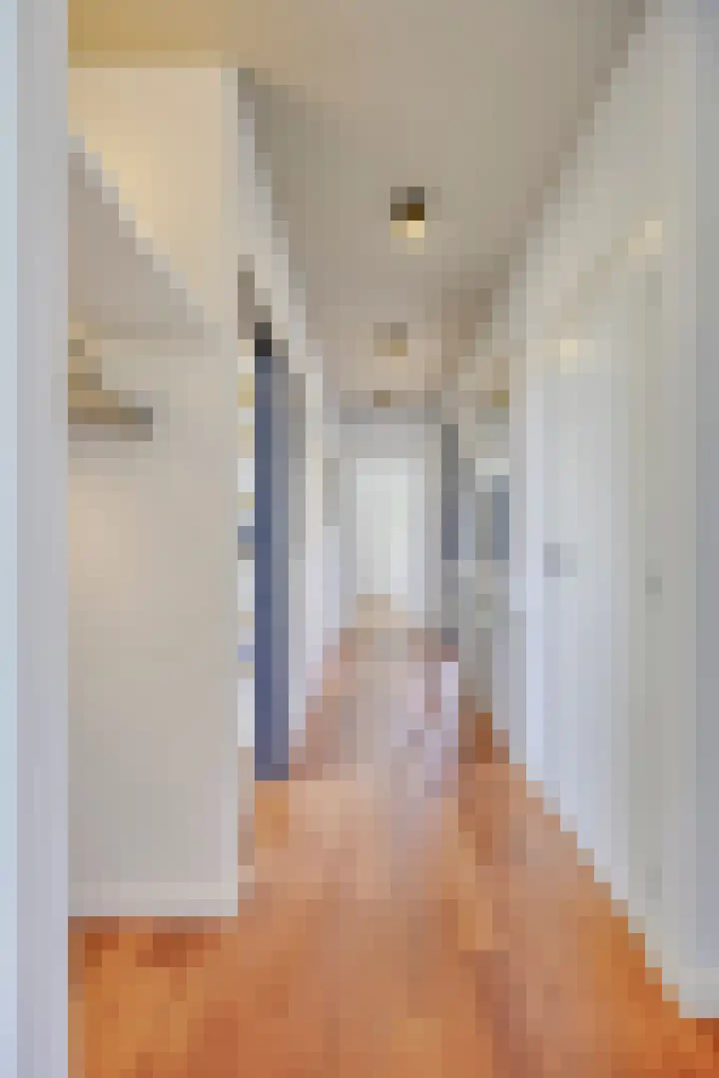 Trompstraat 4 Bleiswijk thumbnail 17