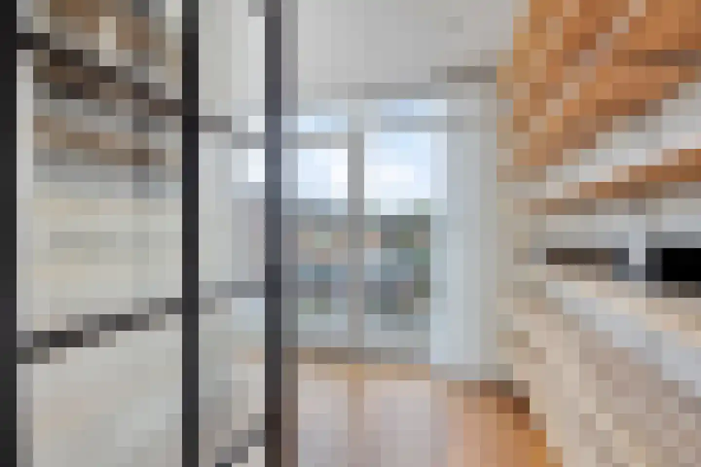 Trompstraat 4 Bleiswijk thumbnail 18