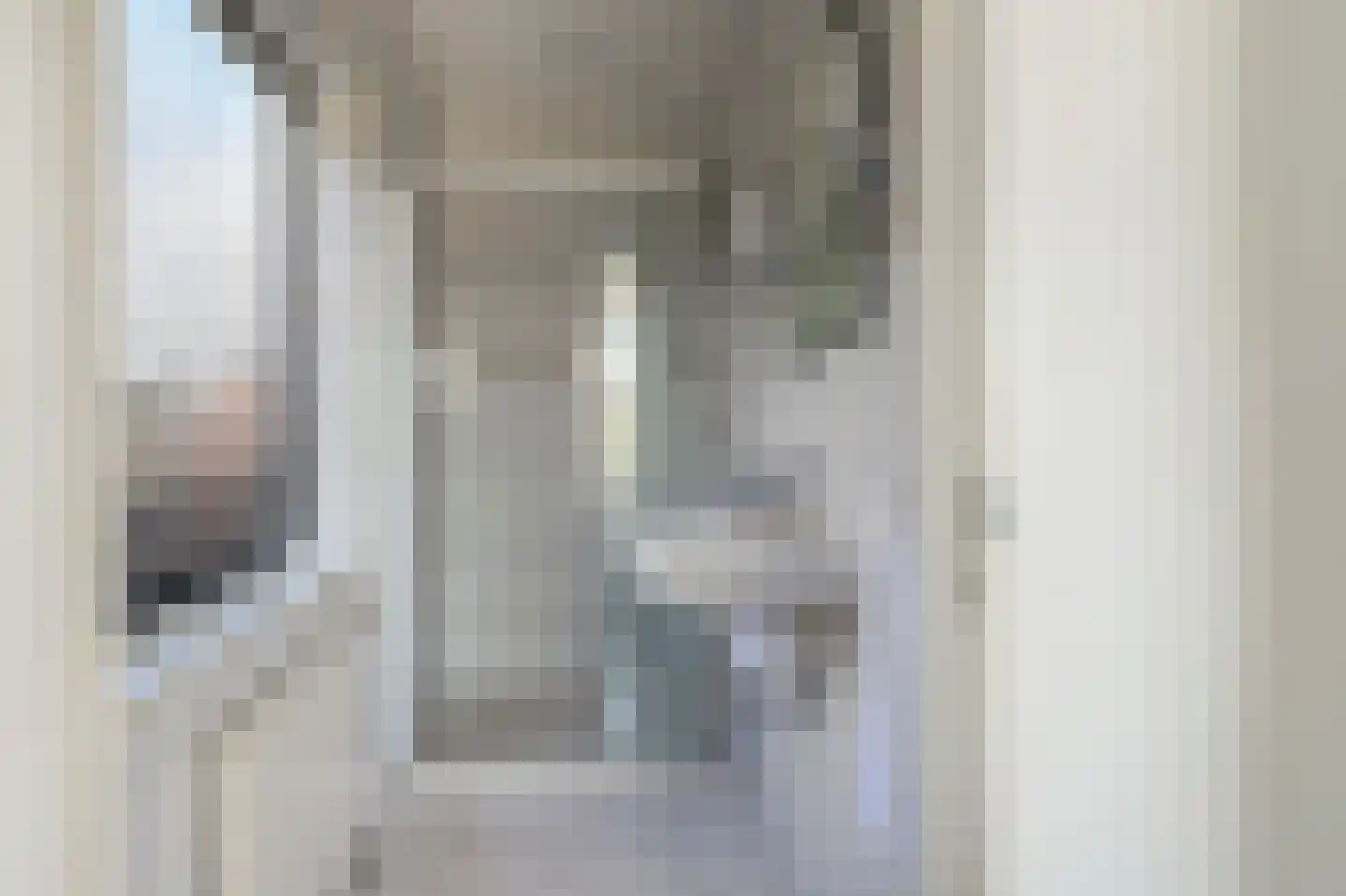 Trompstraat 4 Bleiswijk thumbnail 20