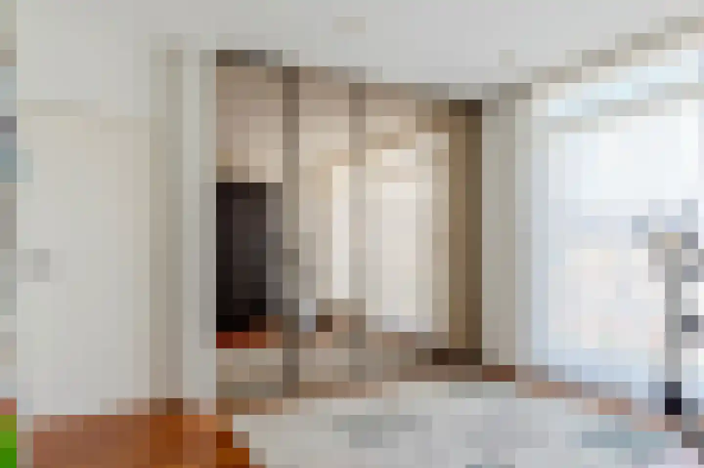 Trompstraat 4 Bleiswijk thumbnail 24