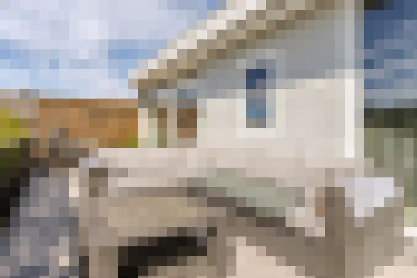 Trompstraat 4 Bleiswijk thumbnail 29