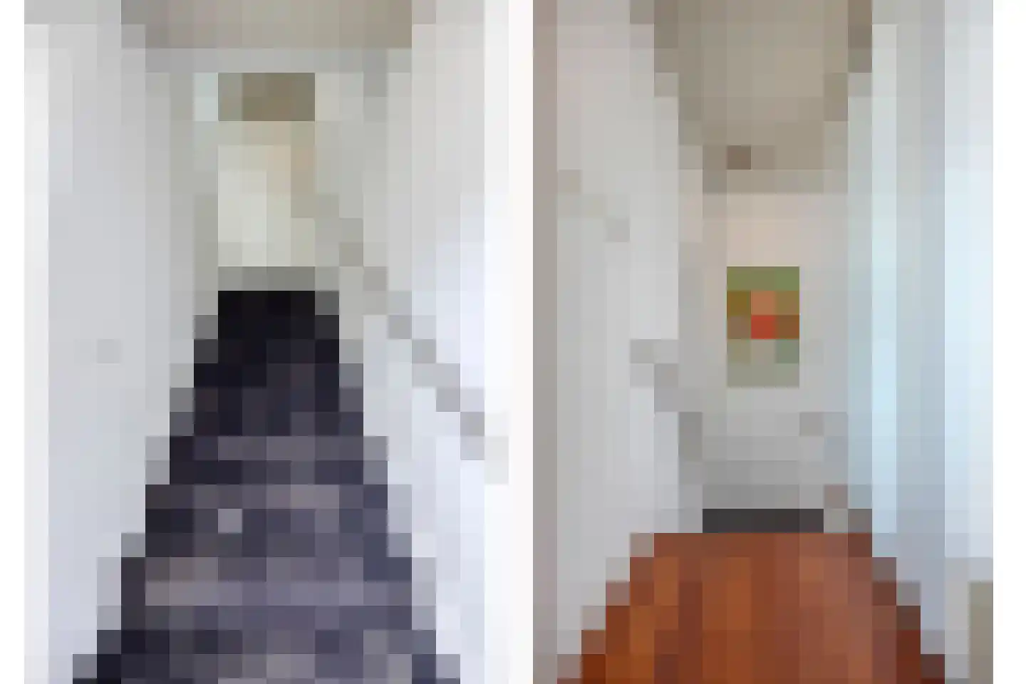 Trompstraat 4 Bleiswijk thumbnail 6