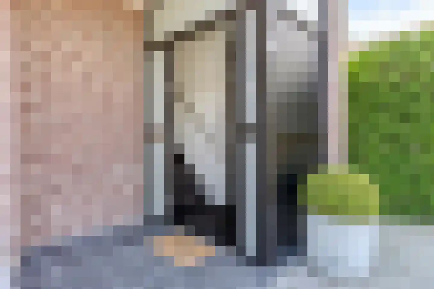 Trompstraat 4 Bleiswijk thumbnail 6