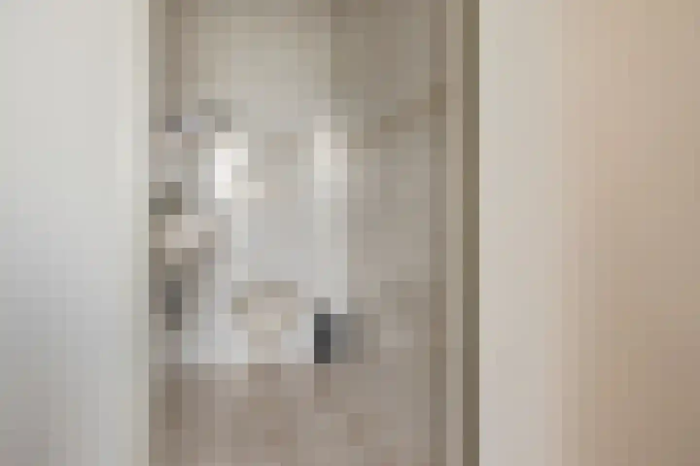 Trompstraat 4 Bleiswijk thumbnail 8