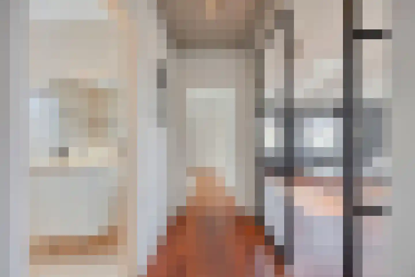 Trompstraat 4 Bleiswijk thumbnail 8