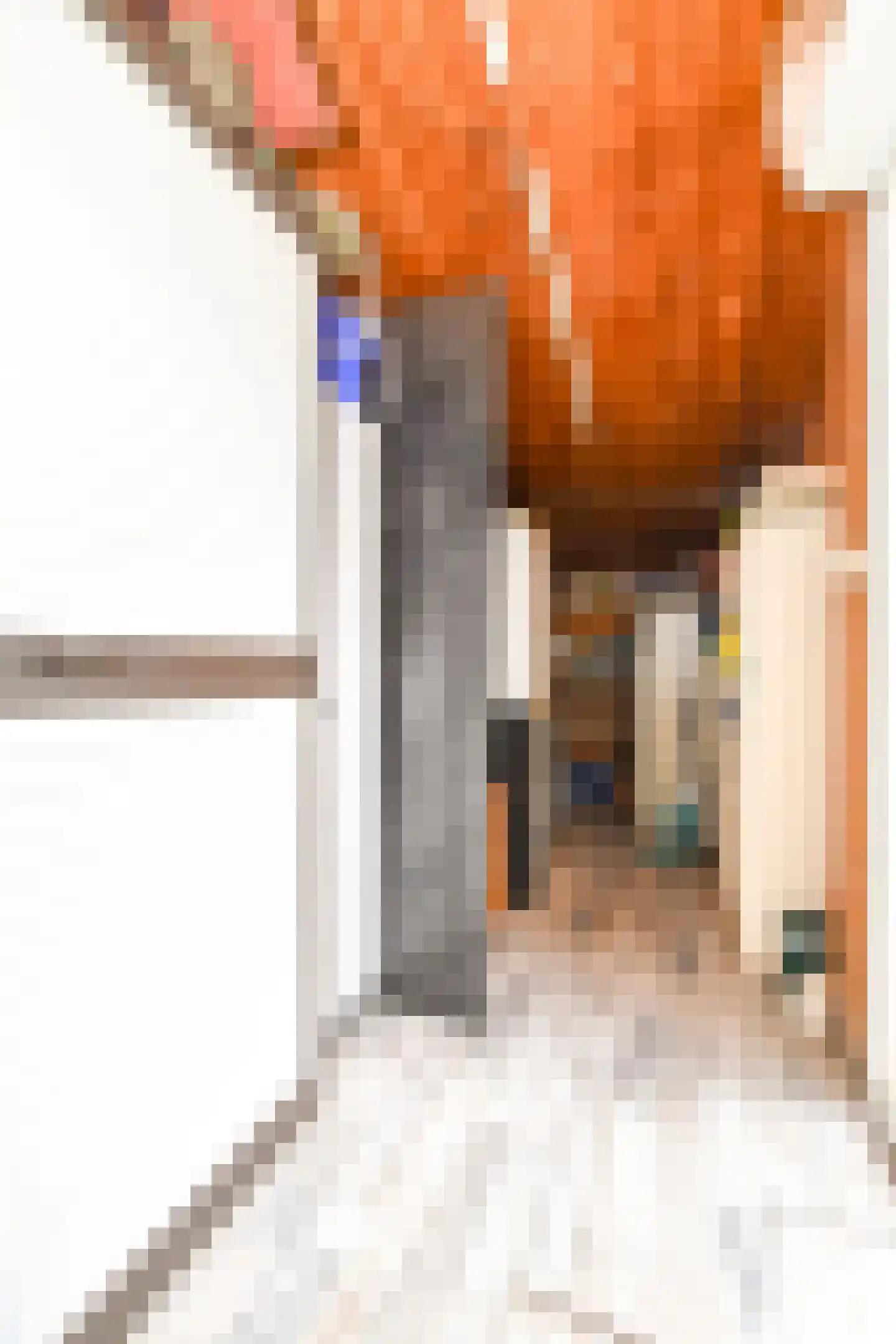 Trompstraat 4 Kloosterzande thumbnail 10