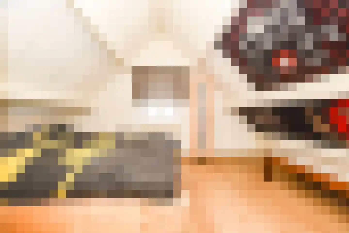 Trompstraat 4 Kloosterzande thumbnail 11