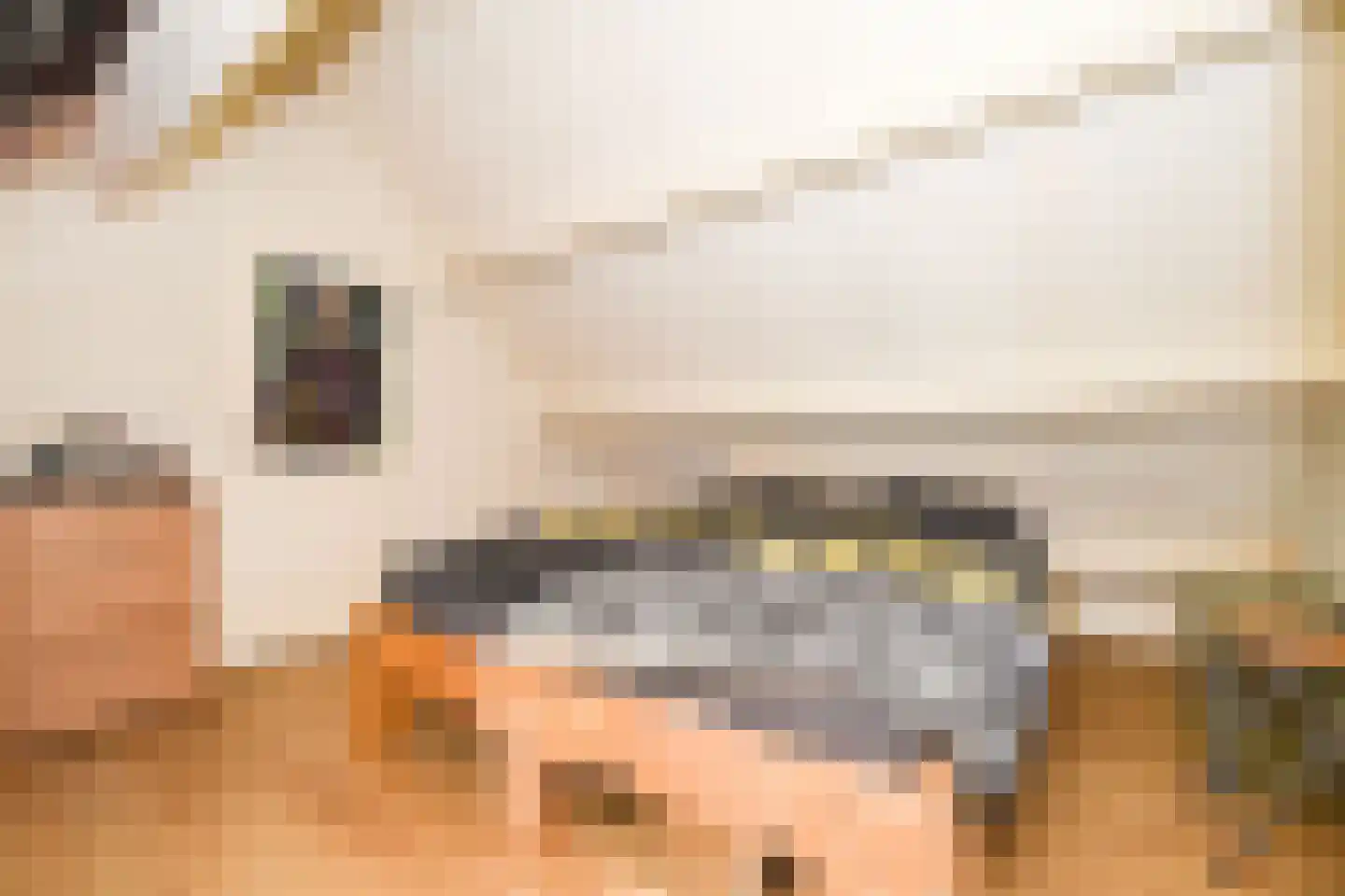 Trompstraat 4 Kloosterzande thumbnail 12