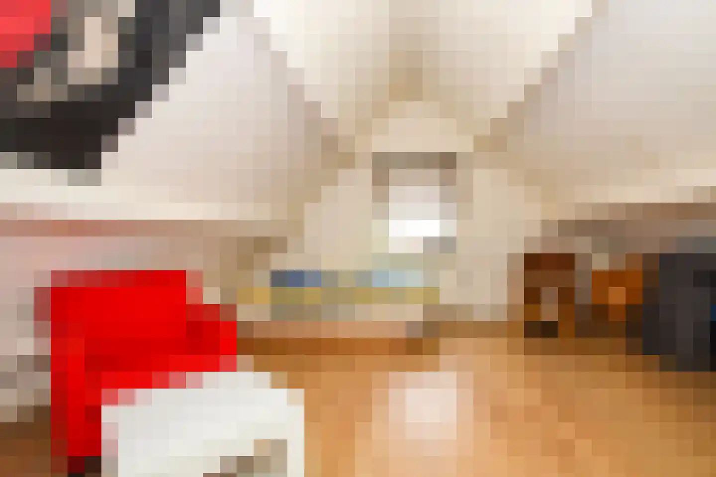 Trompstraat 4 Kloosterzande thumbnail 13