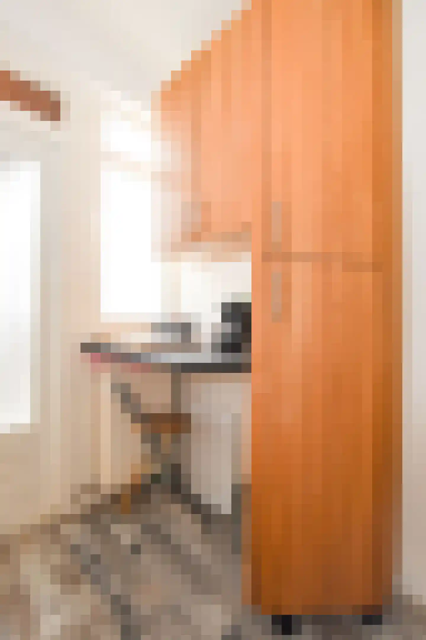 Trompstraat 4 Kloosterzande thumbnail 6