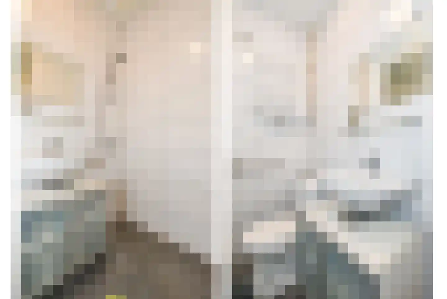 Trompstraat 4 Kloosterzande thumbnail 9