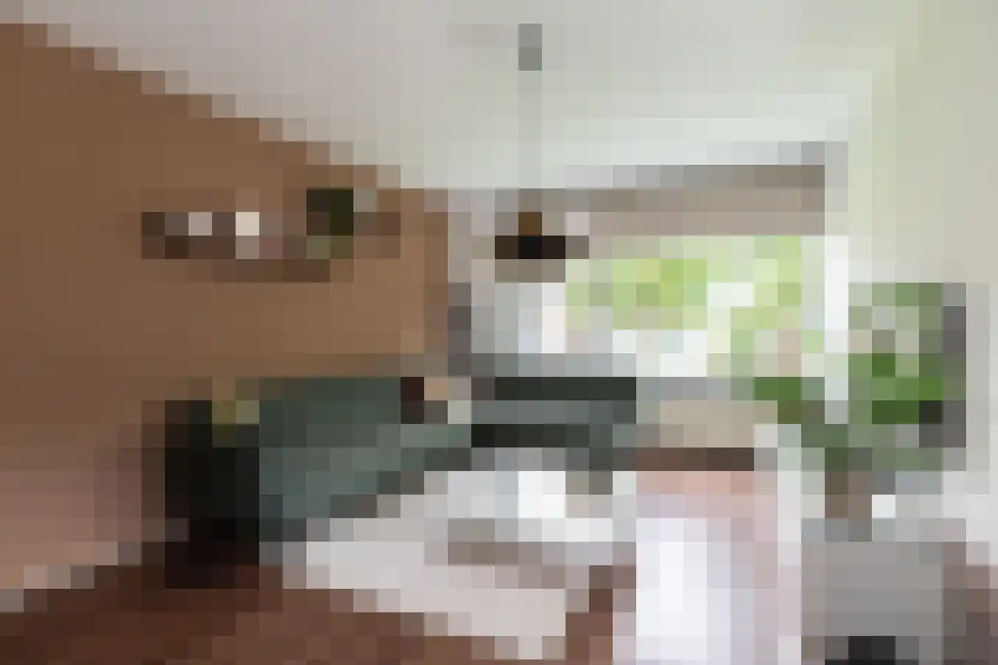 Trompstraat 4 Papendrecht thumbnail 15