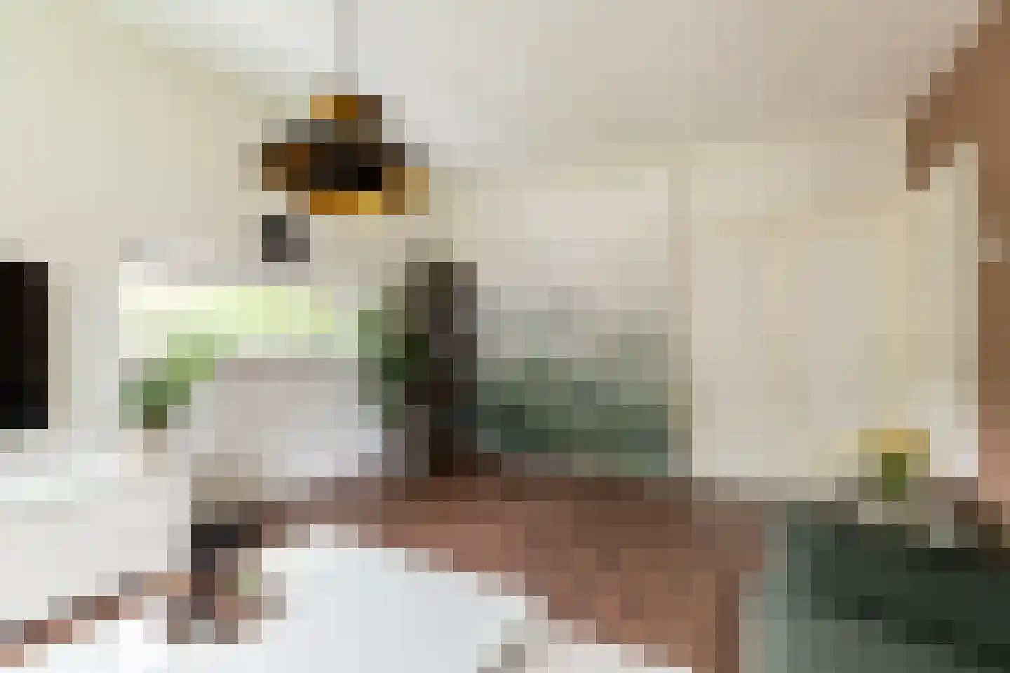 Trompstraat 4 Papendrecht thumbnail 16