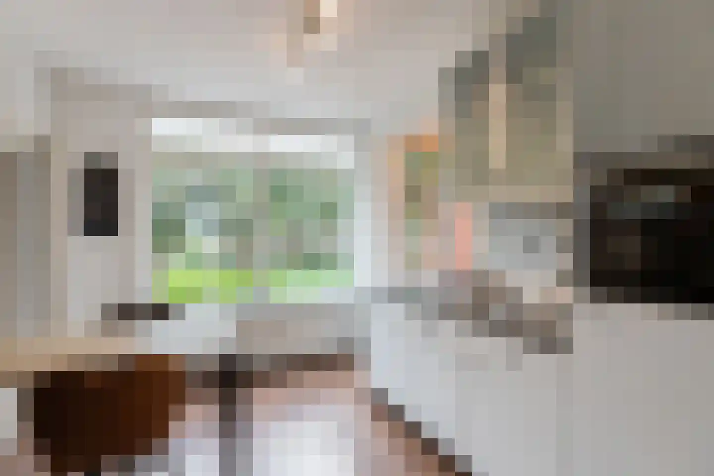 Trompstraat 4 Papendrecht thumbnail 18