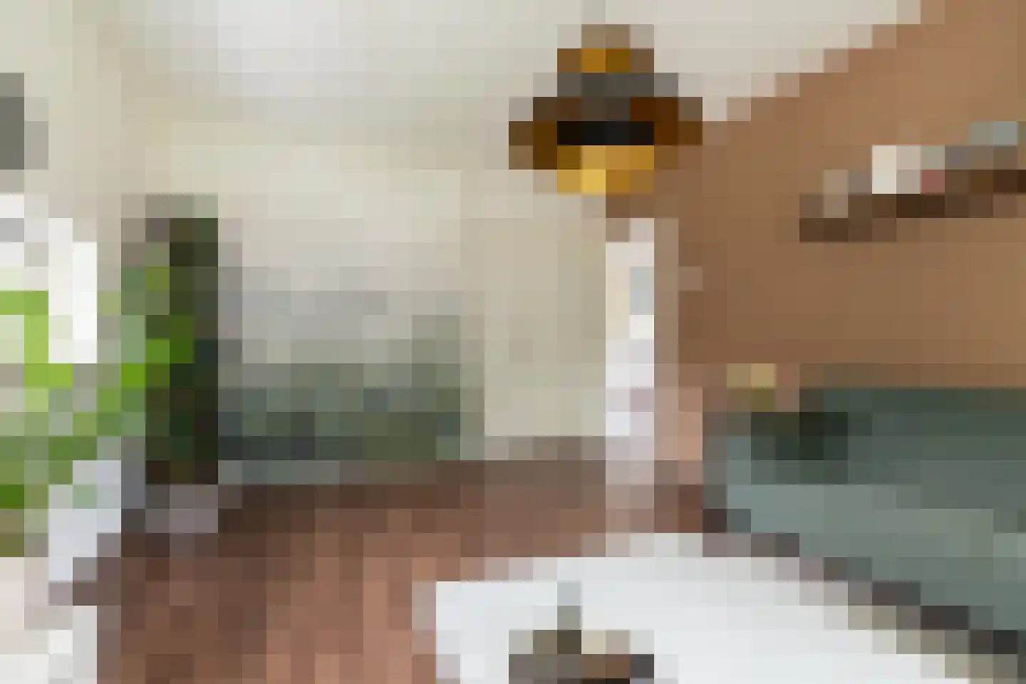 Trompstraat 4 Papendrecht thumbnail 4