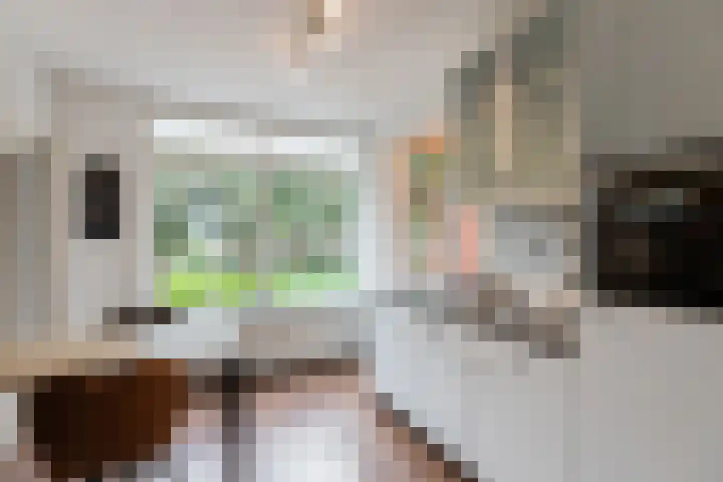 Trompstraat 4 Papendrecht thumbnail 5