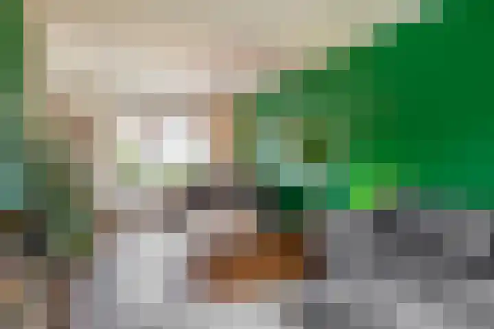 Trompstraat 4 Rozenburg thumbnail 14