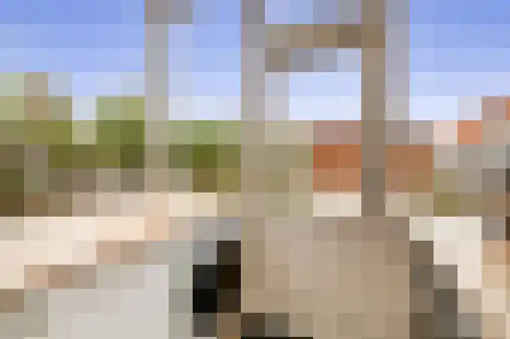 Trompstraat 4 Rozenburg thumbnail 18