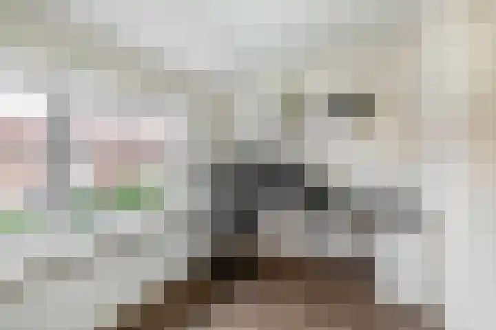 Trompstraat 4 Rozenburg thumbnail 23