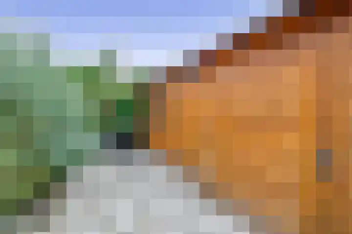 Trompstraat 4 Rozenburg thumbnail 30