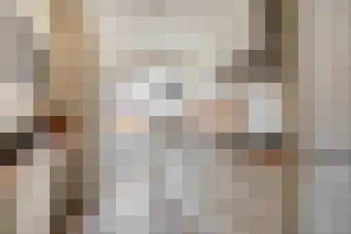 Trompstraat 4 Rozenburg thumbnail 4