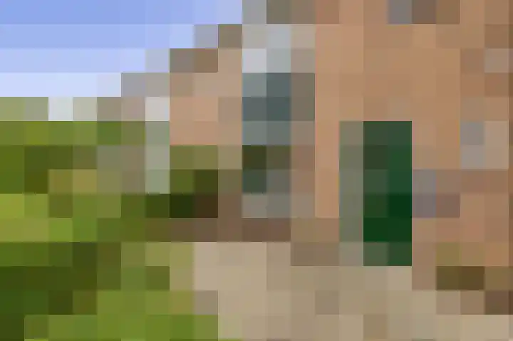 Trompstraat 4 Rozenburg thumbnail 8