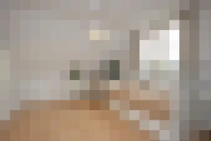 Trompstraat 4 Terneuzen thumbnail 12