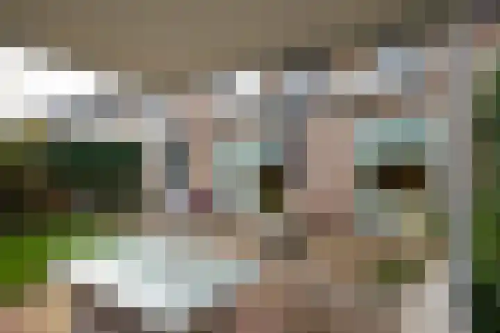 Trompstraat 4 Terneuzen thumbnail 13