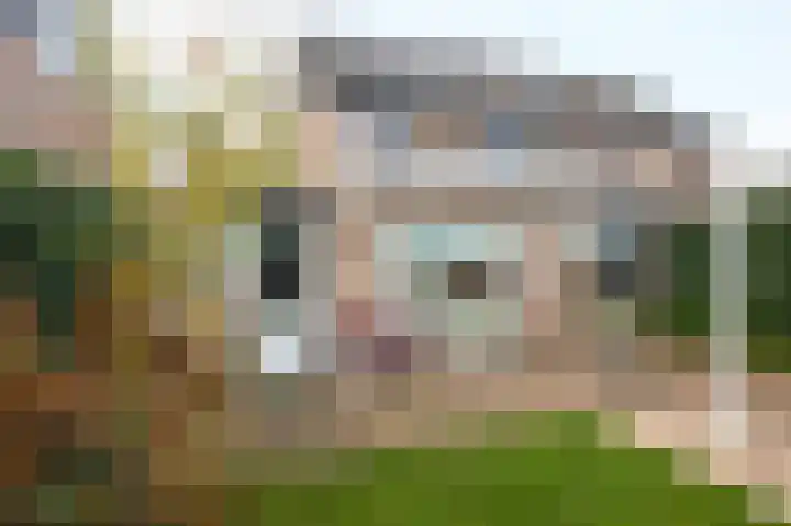 Trompstraat 4 Terneuzen thumbnail 4