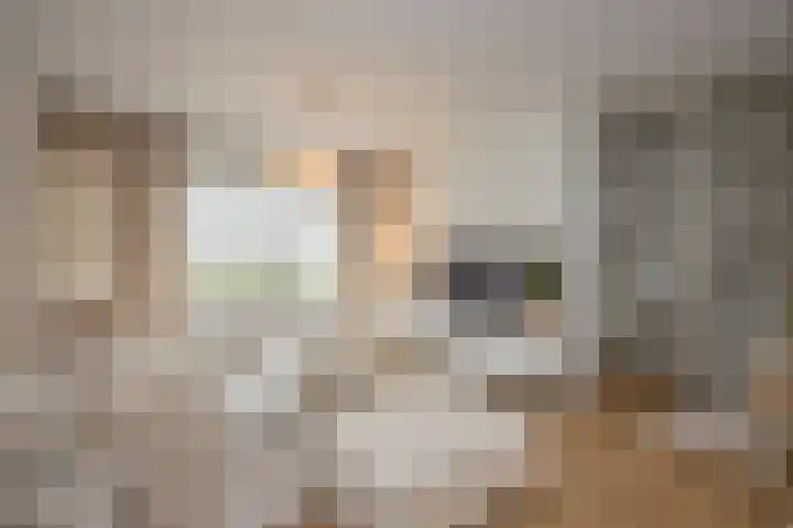 Trompstraat 4 Terneuzen thumbnail 6