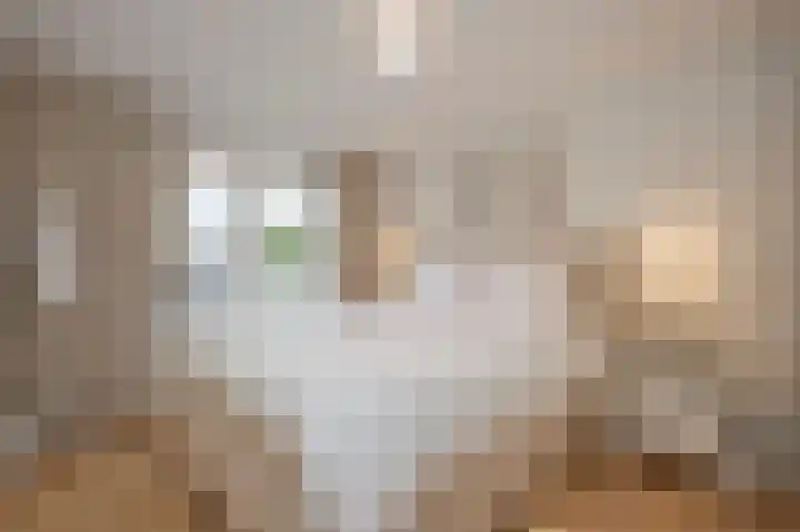 Trompstraat 4 Terneuzen thumbnail 9
