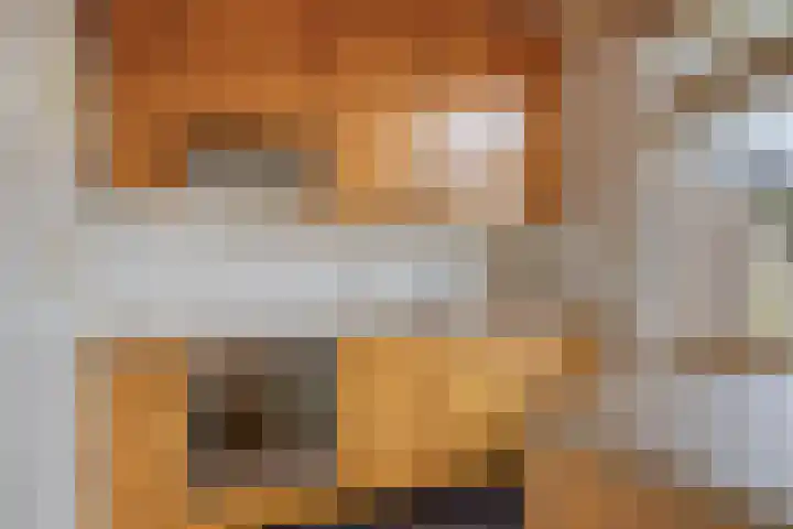 Trompstraat 40 Dongen thumbnail 12