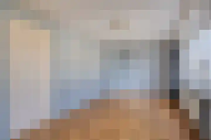 Trompstraat 40 Dongen thumbnail 16