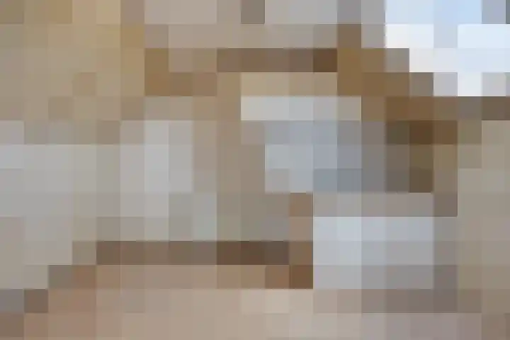 Trompstraat 40 Dongen thumbnail 28