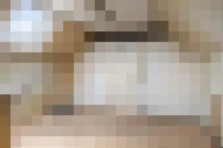 Trompstraat 40 Dongen thumbnail 29
