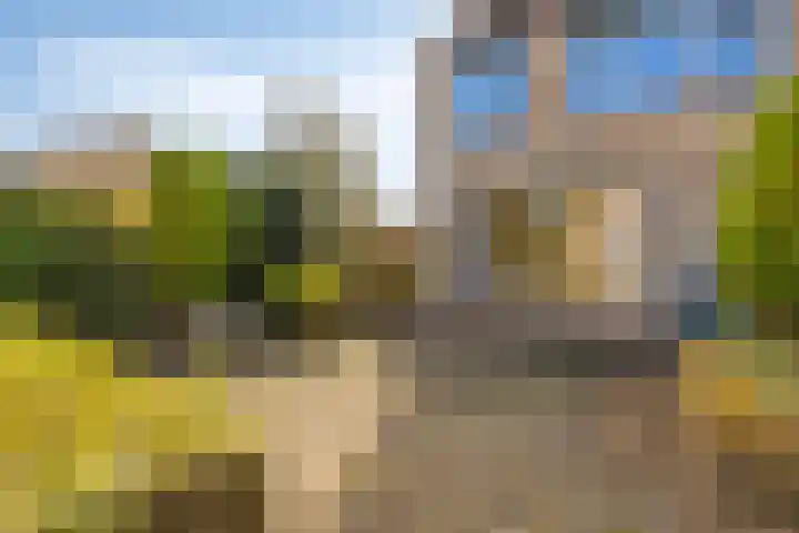 Trompstraat 40 Dongen thumbnail 31