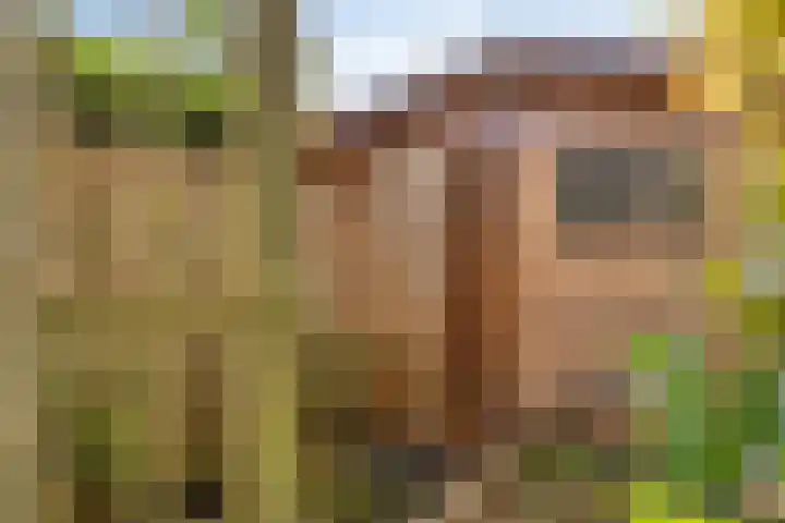 Trompstraat 40 Dongen thumbnail 32