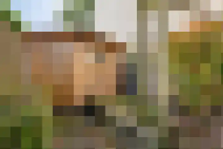 Trompstraat 40 Dongen thumbnail 33