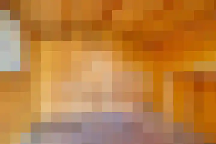 Trompstraat 40 Dongen thumbnail 34